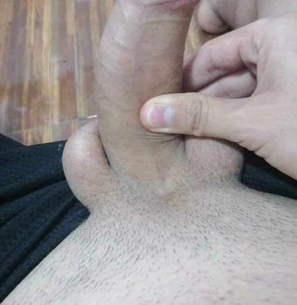 Hard penis with shaved pubes