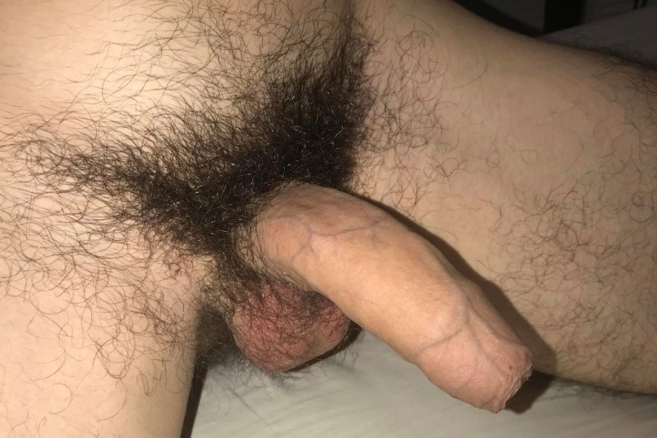 Uncut cock with black pubes