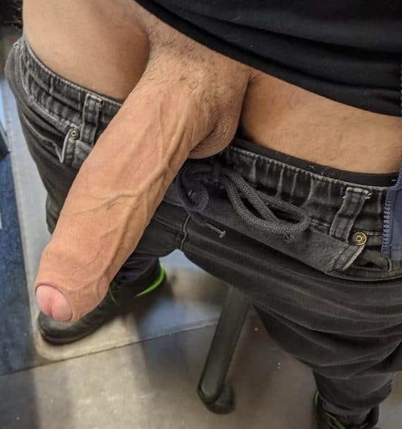 Veiny cock out of pants